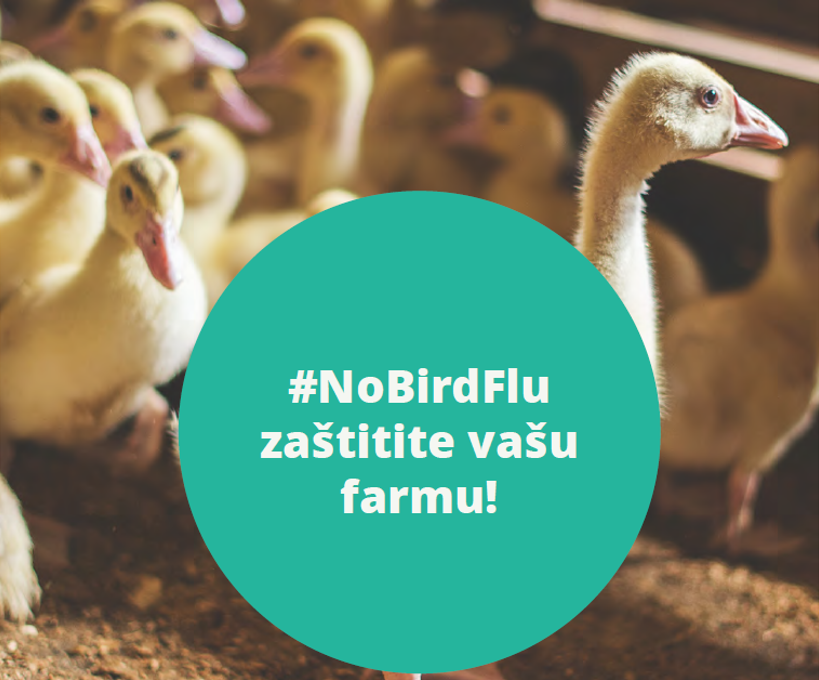 Epidemije ptičje gripe mogu imati razorne posljedice za populaciju peradi, poremetiti opskrbne lance, ugroziti egzistenciju farmera te utjecati na javno zdravlje