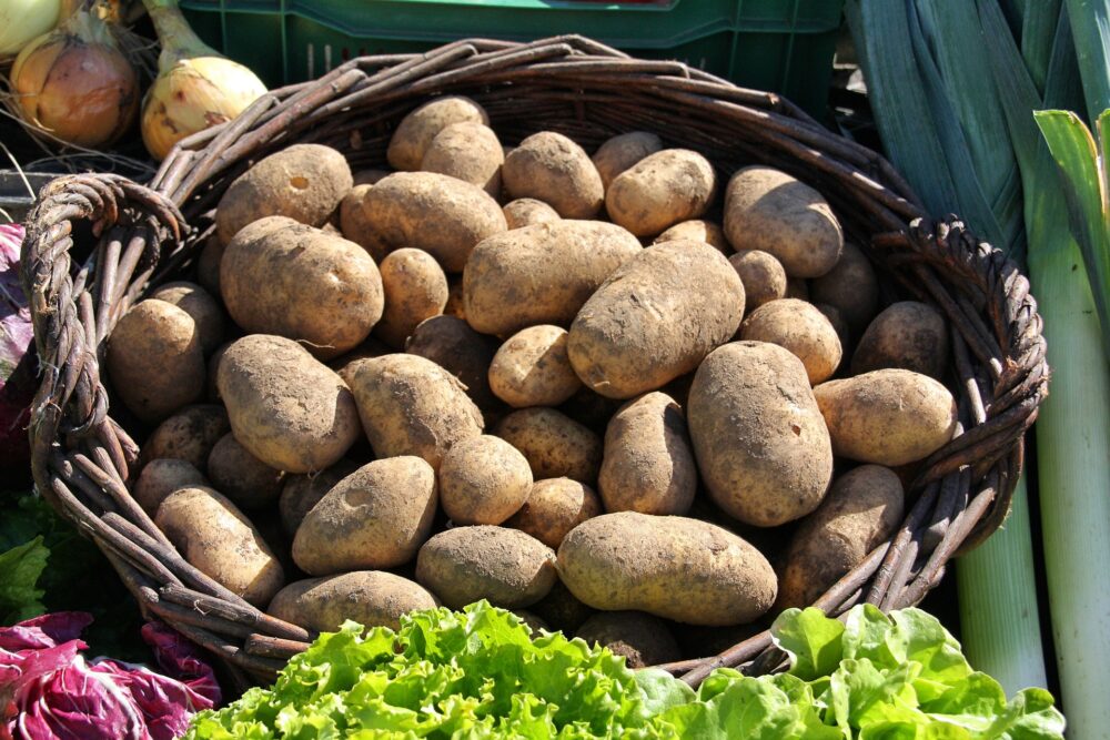 bezbjedno gajenje krompira u organskoj proizvodnji
