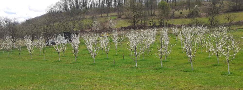 Poljoprivreda Kozarević